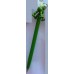 Wooden Pens - Zebra  Wooden Pens - Zebra
